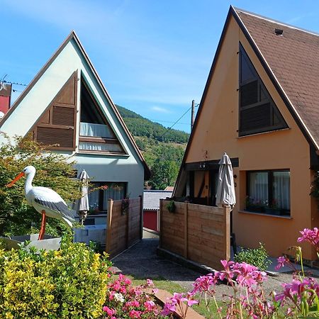 Gite Pinot Gris Et Gite Pinot Blanc Kaysersberg-Vignoble Kültér fotó
