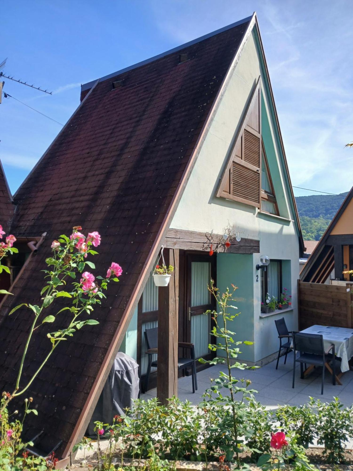 Gite Pinot Gris Et Gite Pinot Blanc Kaysersberg-Vignoble Kültér fotó